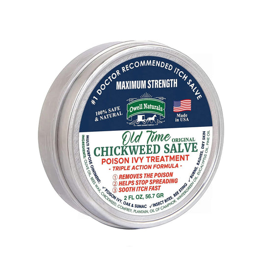 OWELL NATURALS Chickweed Salve Drawing Salve for boils, Splinters, Poison Ivy/Oak, Skin Disorder, Irritations, Burns, Minor Cuts, Dry Skin, Itching